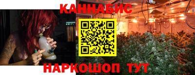 скорость Дубна