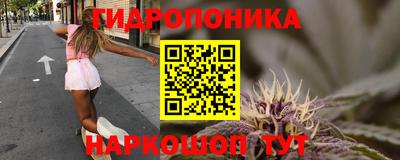 скорость Дубна