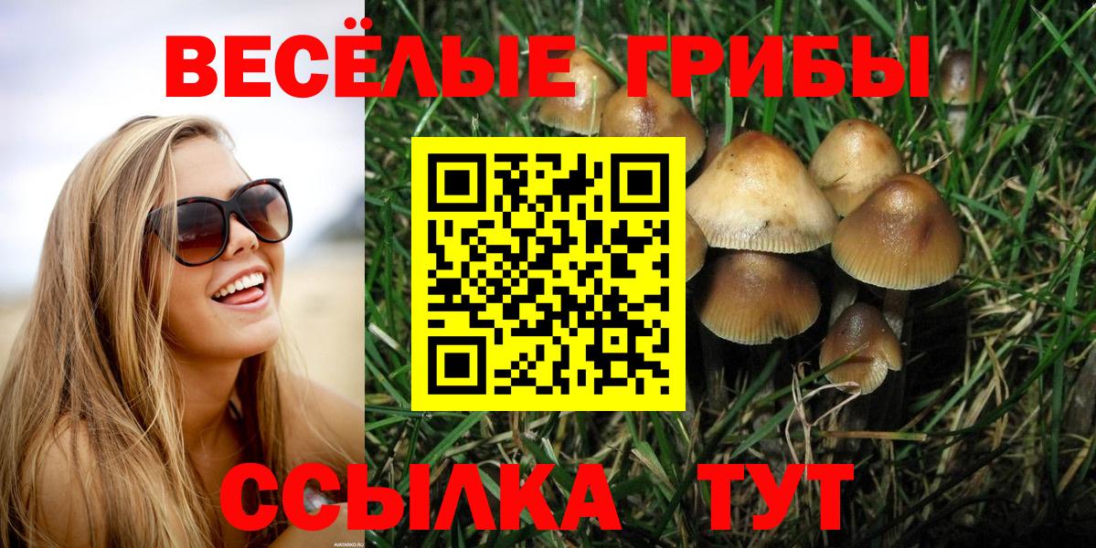 Псилоцибиновые грибы прущие грибы  Вход с VPN  Кудрово 